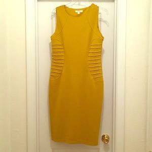 Mustard colored midi! Also, fits like a 12.